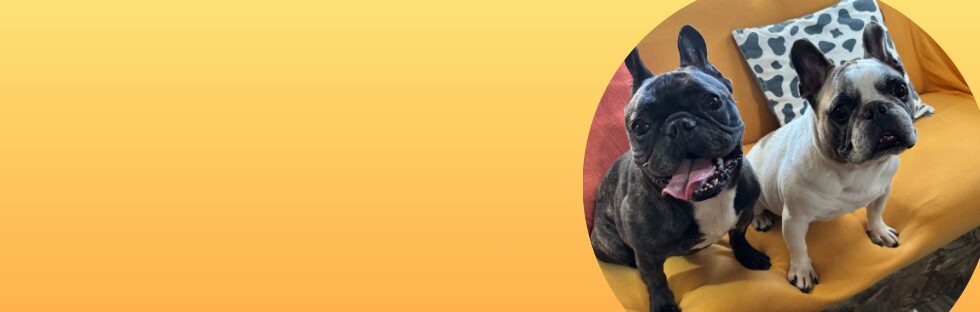 Pet-Friendly Accommodation in Tosa City, Kochi | Exterior of B&M SURF & CAFE + LODGE