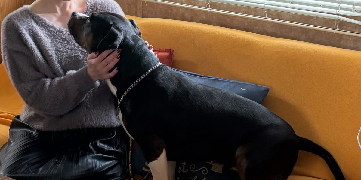 ペットと一緒に泊まれる高知県土佐市のロッジ「B&M surf&cafe+Lodge」で過ごす家族の休日